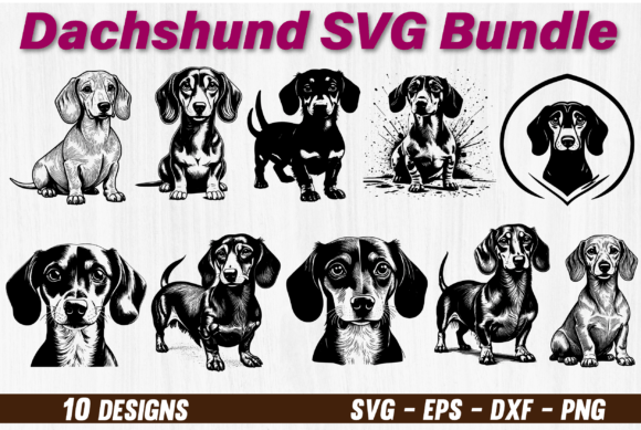 Dachshund SVG File for Crafts: A Designer’s Real-World Review